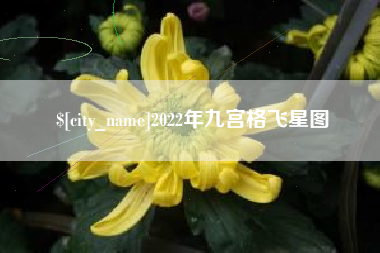 广元2022年九宫格飞星图
