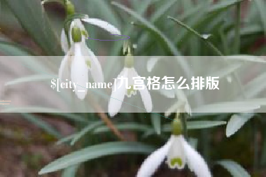 广元九宫格怎么排版