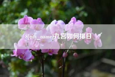 广元九宫如何排日