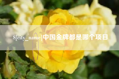 广元中国金牌都是哪个项目