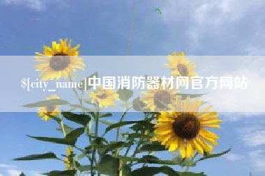 广元中国消防器材网官方网站