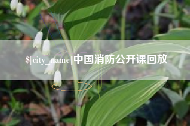 广元中国消防公开课回放