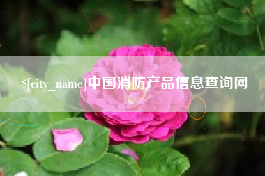 广元中国消防产品信息查询网