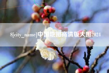 广元中国地图高清版大图2024