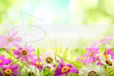 广元中国消防网1190119