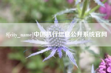 广元中国执行信息公开系统官网