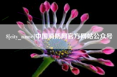 广元中国消防网官方网站公众号
