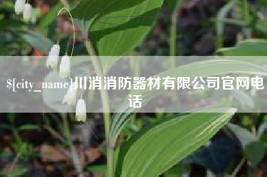 广元川消消防器材有限公司官网电话