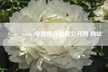 广元中国执行信息公开网 网址