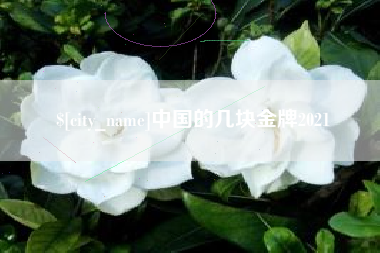 广元中国的几块金牌2021