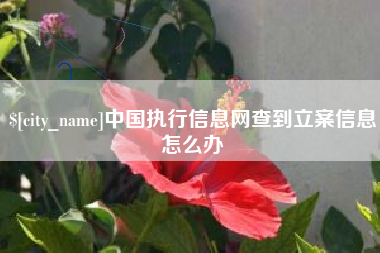 广元中国执行信息网查到立案信息怎么办