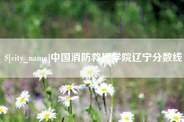 广元中国消防救援学院辽宁分数线