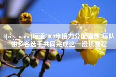 广元短道5000米接力分配圈数-每队由多名选手共同完成这一漫长赛程