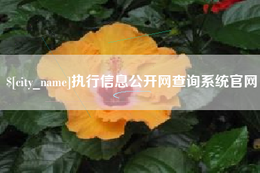 广元执行信息公开网查询系统官网