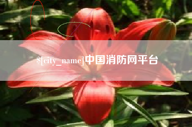 广元中国消防网平台
