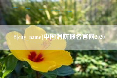 广元中国消防报名官网2020