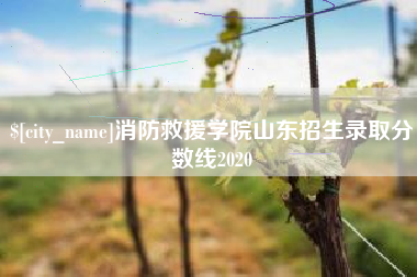 广元消防救援学院山东招生录取分数线2020