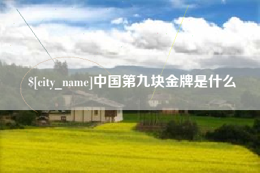 广元中国第九块金牌是什么