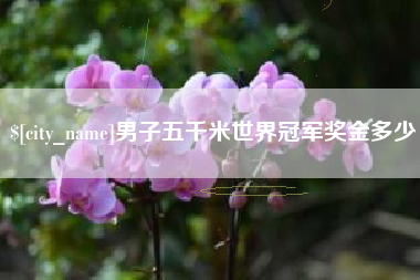 广元男子五千米世界冠军奖金多少