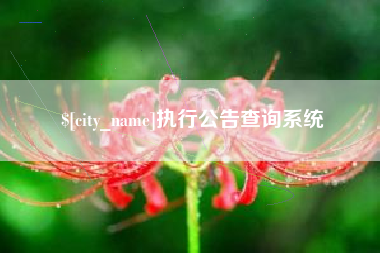 广元执行公告查询系统