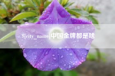 广元中国金牌都是啥