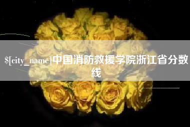 广元中国消防救援学院浙江省分数线