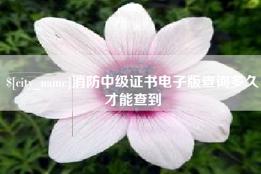 广元消防中级证书电子版查询多久才能查到