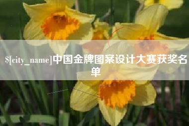 广元中国金牌图案设计大赛获奖名单