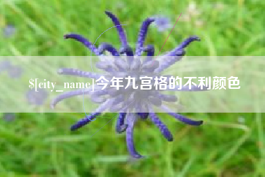 广元今年九宫格的不利颜色