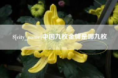 广元中国九枚金牌是哪九枚