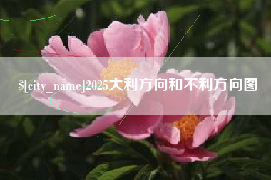 广元2025大利方向和不利方向图