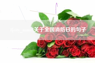广元关于全国消防日的句子