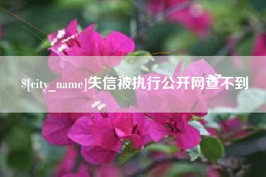 广元失信被执行公开网查不到