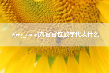 广元九宫宫位数字代表什么