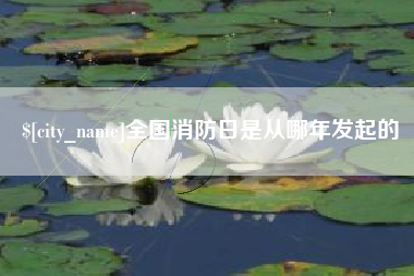 广元全国消防日是从哪年发起的