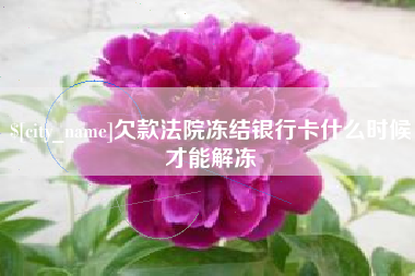 广元欠款法院冻结银行卡什么时候才能解冻