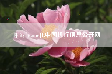 广元1.中国执行信息公开网
