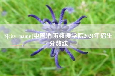 广元中国消防救援学院2024年招生分数线