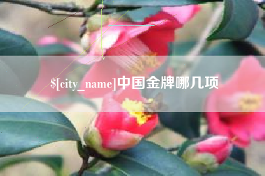 广元中国金牌哪几项