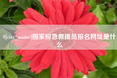 广元国家应急救援员报名网址是什么