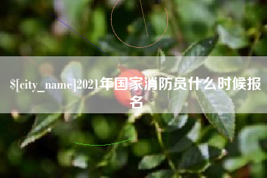广元2021年国家消防员什么时候报名