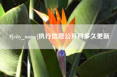 广元执行信息公开网多久更新