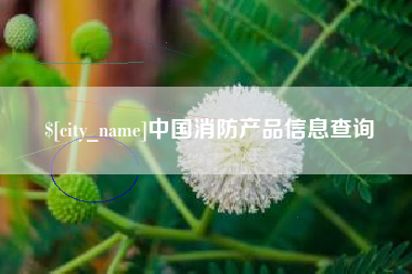 广元中国消防产品信息查询