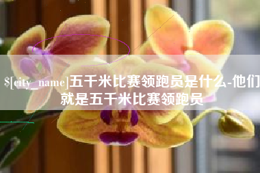 广元五千米比赛领跑员是什么-他们就是五千米比赛领跑员