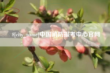 广元中国消防报考中心官网