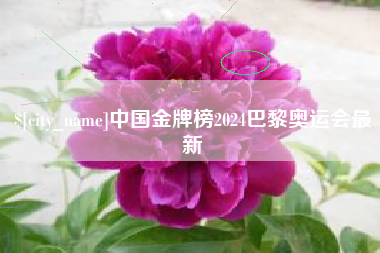 广元中国金牌榜2024巴黎奥运会最新