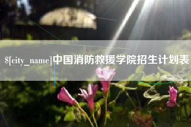 广元中国消防救援学院招生计划表