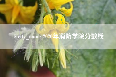 广元2020年消防学院分数线