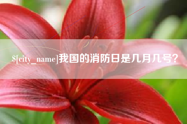 广元我国的消防日是几月几号？