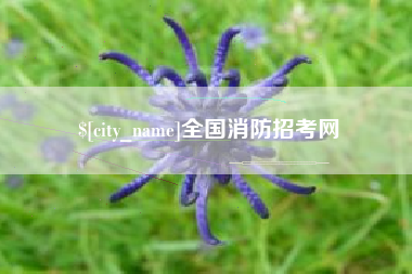 广元全国消防招考网